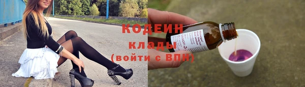 гашик Сясьстрой