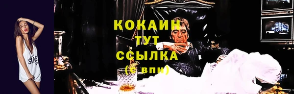 jwh Горняк