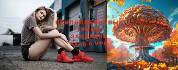 гашик Сясьстрой