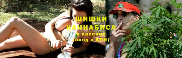 твердый Тавда