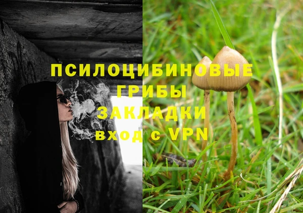твердый Тавда